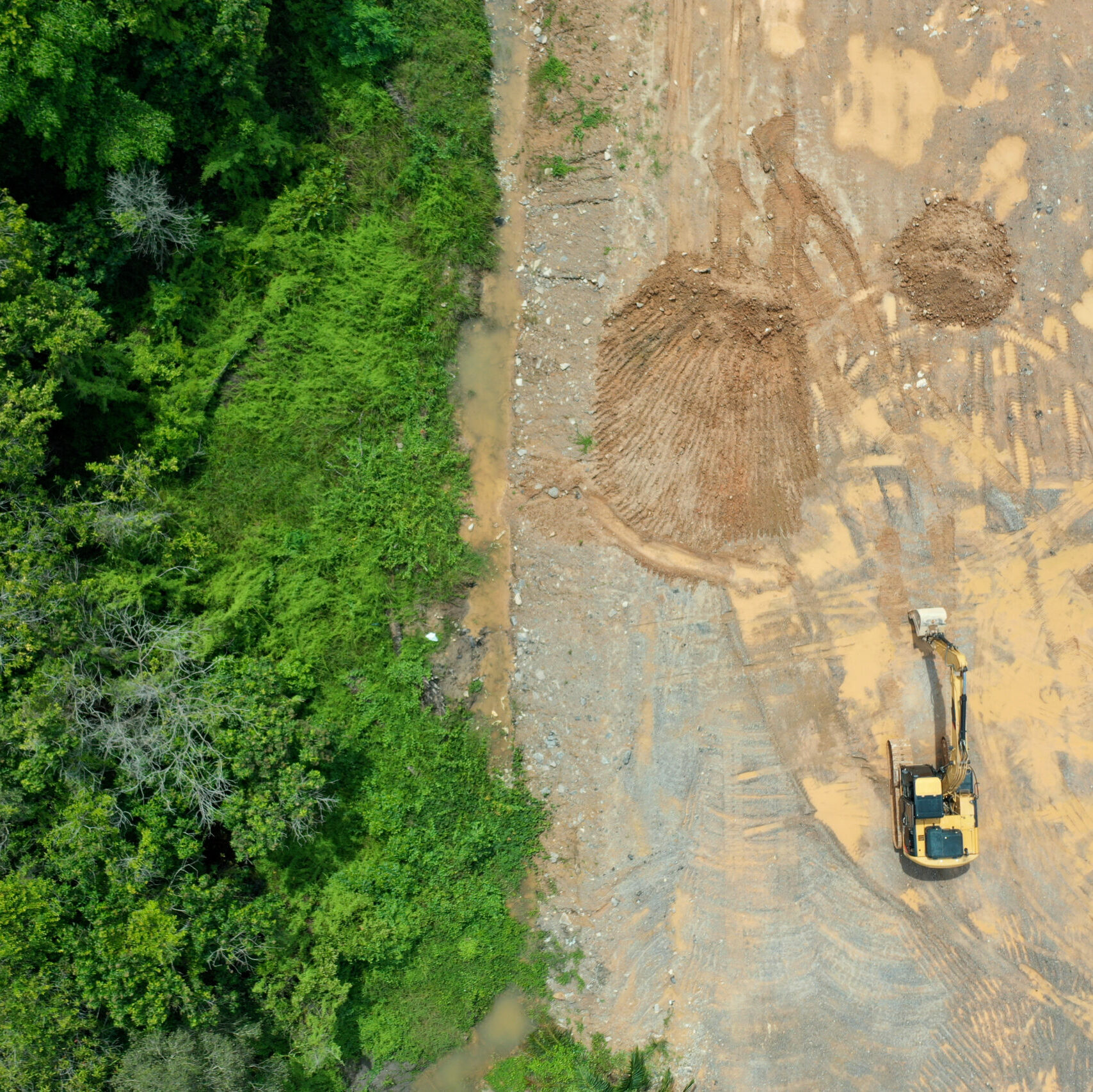 natural resources forest development